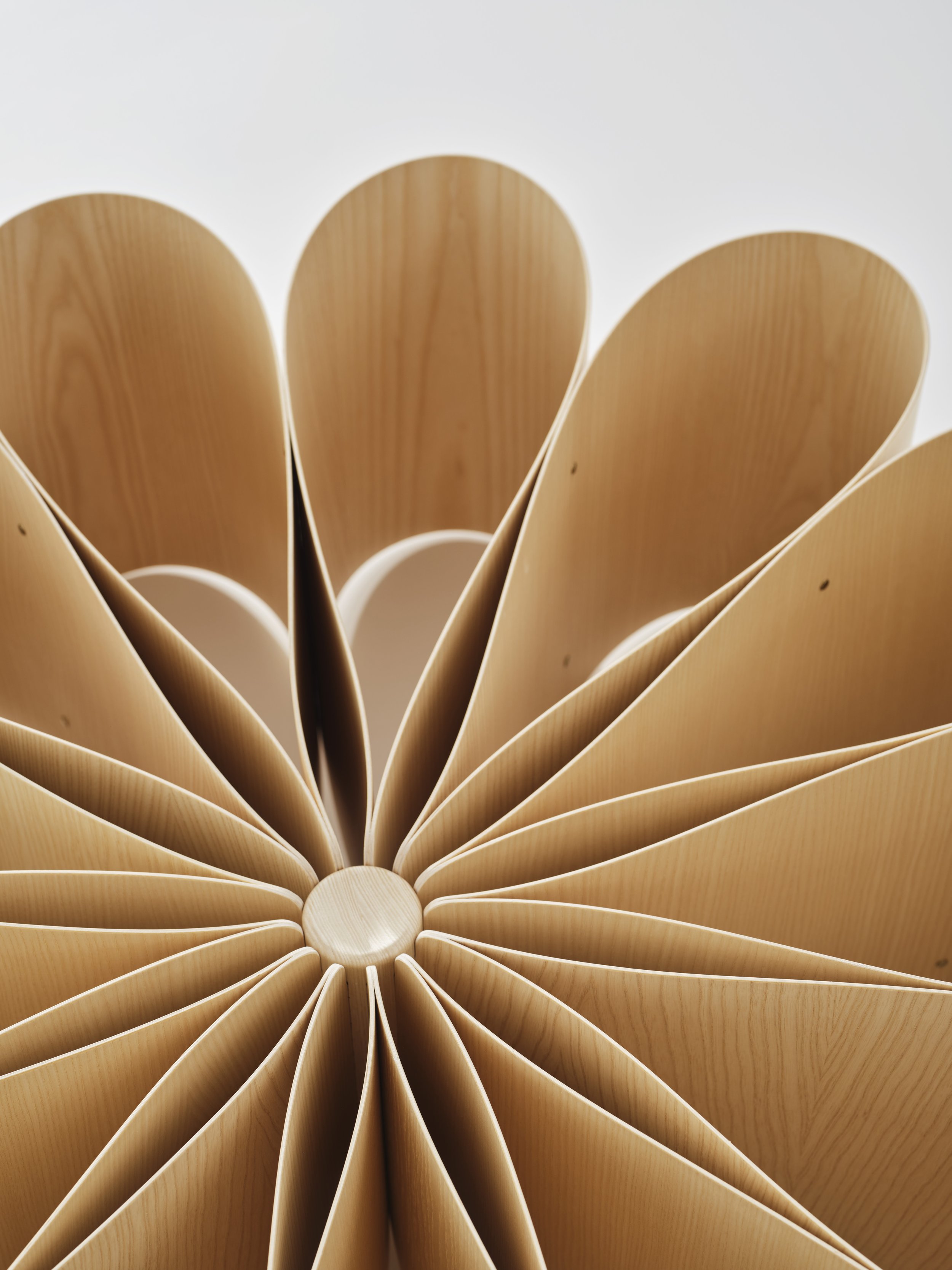 Mandala, photo by Studio Dittmer